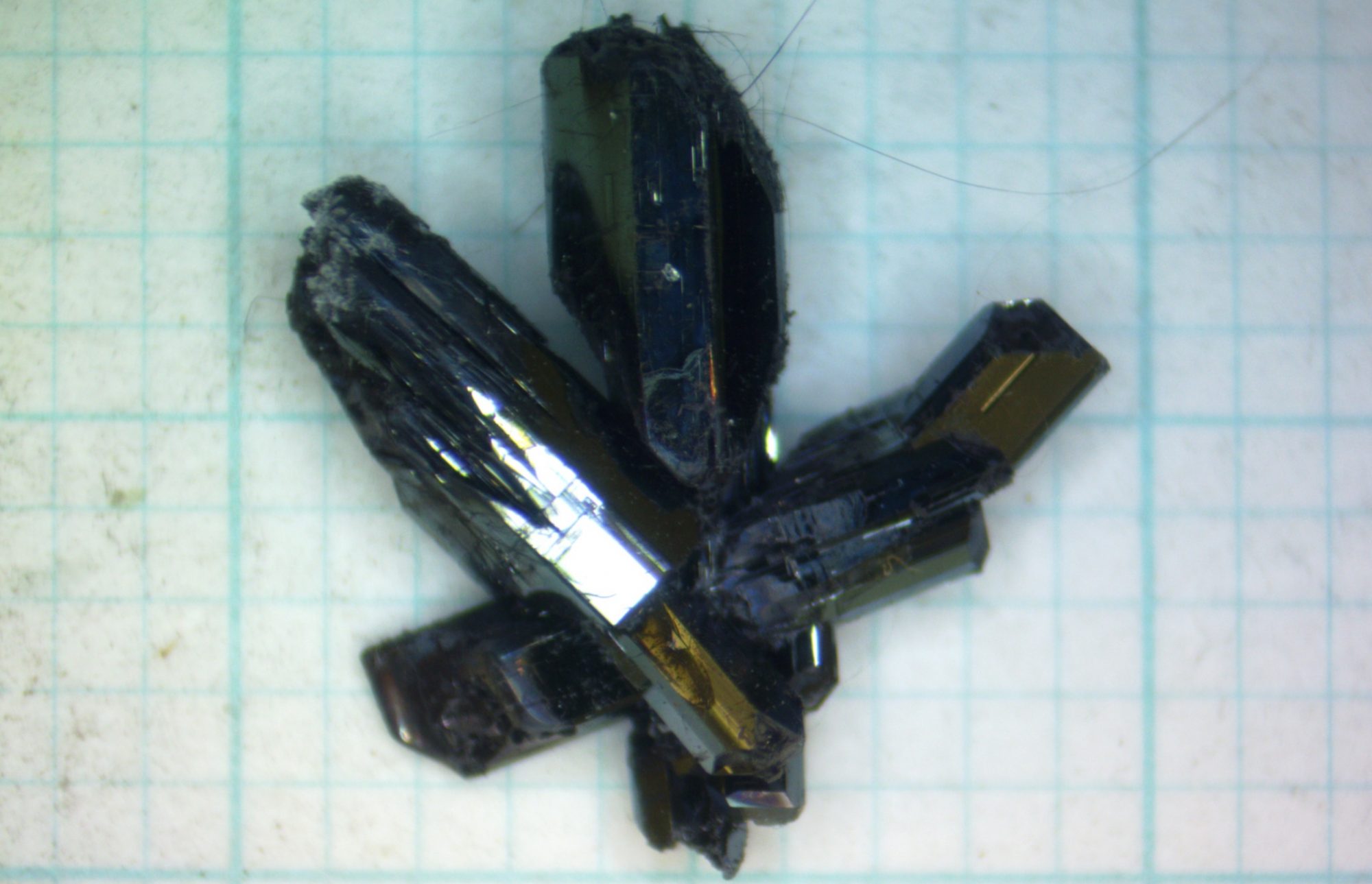 Photo of large crystals